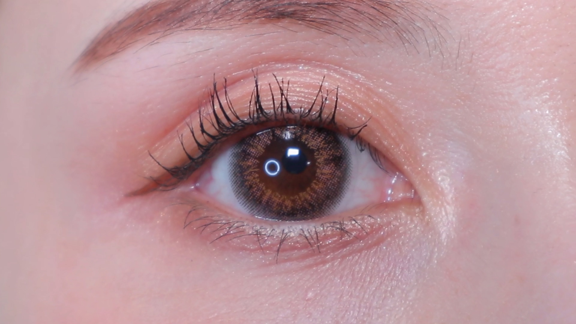 ハニードロップス（HONEY DROPS）ワンデー 15.0mm メロウピンクの